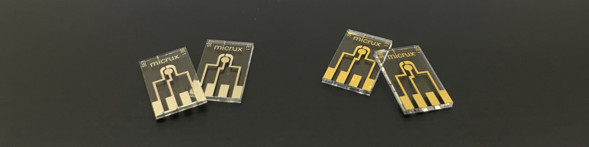 Microelectrode Arrays (MEA) 