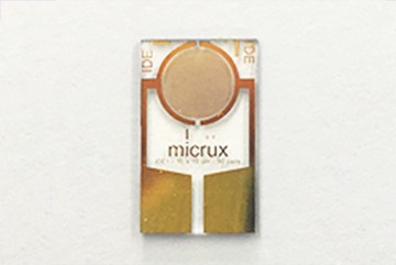 Thin-film Gold InterDigitated Electrode (10/10 µm)