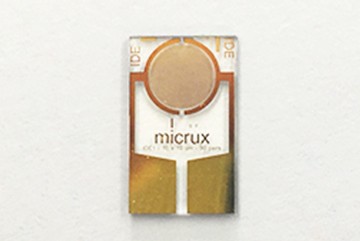 Thin-film Gold InterDigitated Electrode (10/5 µm)