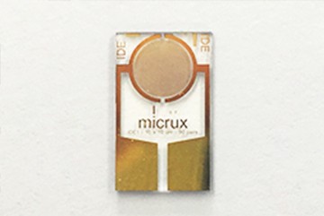 Thin-film Gold InterDigitated Electrode (5/5 µm)