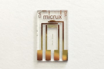 Thin-film Gold InterDigitated Array Microelectrode (10/10 µm)